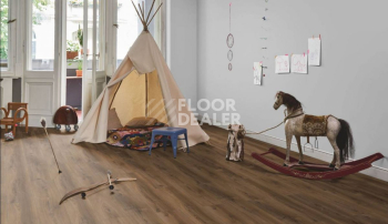 Parador Basic Plus 600 XS 1593830 Дуб Монтана Выбеленный фото 4 | FLOORDEALER